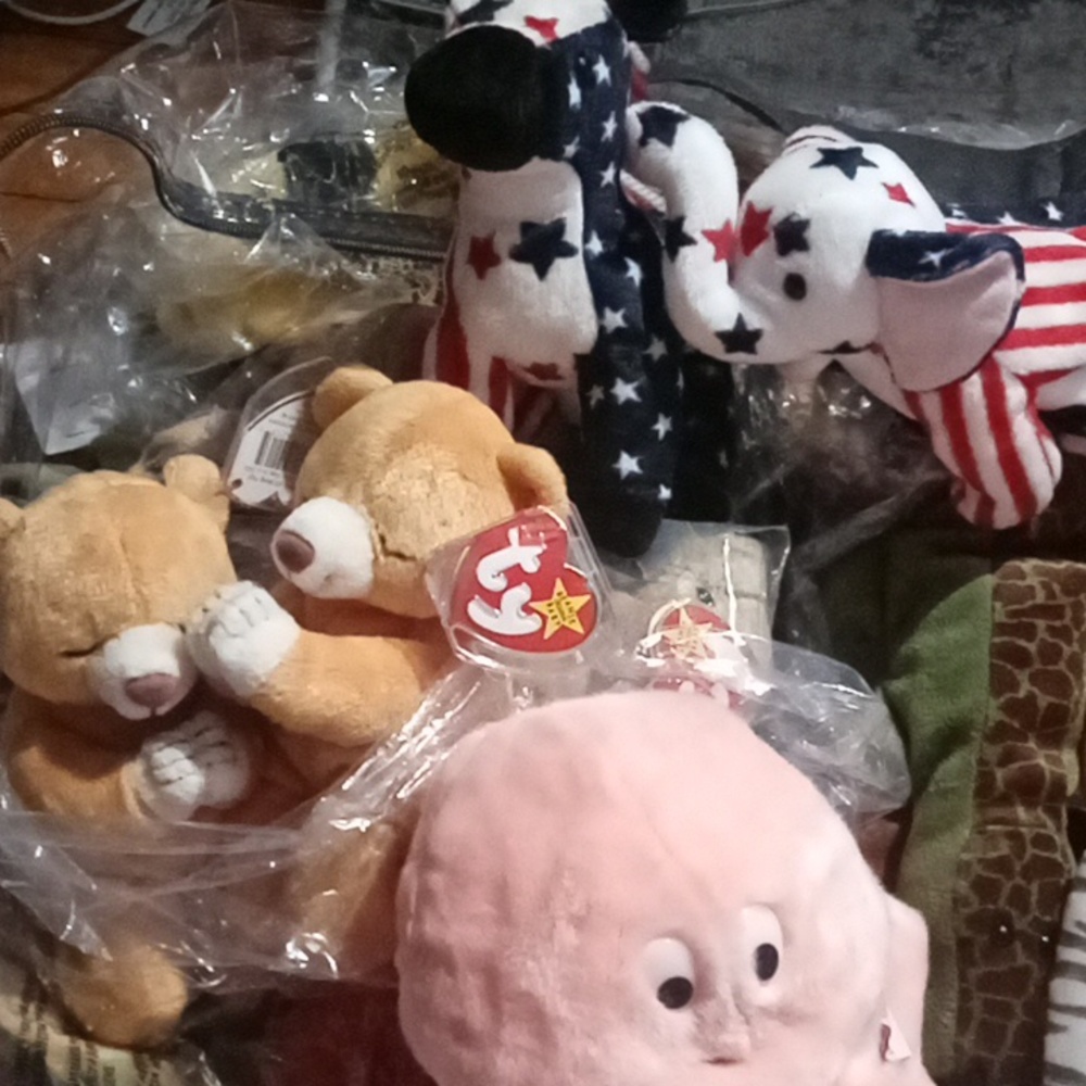 So many beanie babies. If you are looking for a certain one please message me.